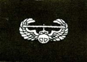 Air Assault Wing, cloth, Olive Drab - Saunders Military Insignia