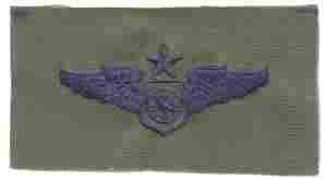 Air Battle Management Senior USAF Wing Patch Emblem