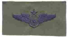 Air Battle Management Senior USAF Senior Wing - Saunders Military Insignia