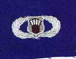 Air Force Air Traffic Controller Blue Cloth Badge Patch