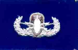 AIR FORCE BASIC EXPLOSIVE ORDENANCE BADGE IN BLUE CLOTH - Saunders Military Insignia