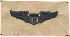 AIR FORCE BASIC PILOT WING IN DESERT CLOTH - Saunders Military Insignia