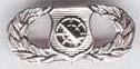 Air Force Basic Weapons Controller Badge or Wing - Saunders Military Insignia