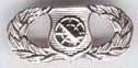 Air Force Basic Weapons Controller Badge or Wing - Saunders Military Insignia