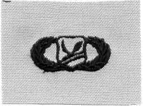 AIR FORCE CHAPEL MANAGEMENT BADGE ON DESERT CLOTH - Saunders Military Insignia