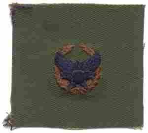 Air Force Commanders Badge in Subdued Cloth Official