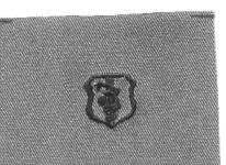 Authentic Air Force Dentist Badge In Subdued Cloth For Duty