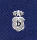 Air Force Dentist Chief Badge Blue Cloth Sew On US Made