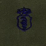 Air Force Dentist Chief Badge Subdued Cloth Uniform Emblem