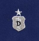 Air Force Dentist Senior Badge in blue cloth - Saunders Military Insignia