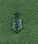 Air Force Dentist Senior Cloth Badge Sew On Uniform Patch