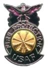 Air Force Fire Chief Deputy badge in old silver finish - Saunders Military Insignia