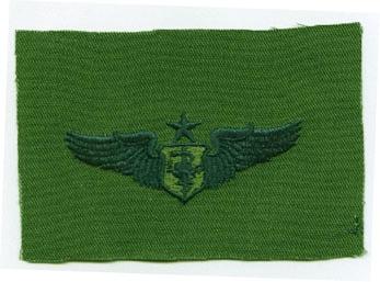 AIR FORCE FLIGHT SENIOR FLIGHT NURSE WING IN SUBDUED CLOTH - Saunders Military Insignia