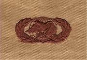 AIR FORCE FUEL SUPPLY BADGE IN DESERT CLOTH - Saunders Military Insignia