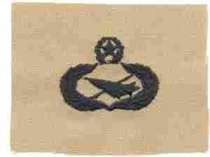 Air Force Historian Badge on Desert Cloth Embroidered