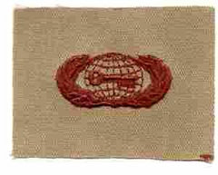 AIR FORCE INTELLIGENCE BADGE IN DESERT CLOTH - Saunders Military Insignia