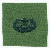 Air Force Judge Advocate Badge In Subdued Cloth Authentic