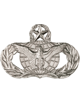 Air Force Master Force Protection Badge Chrome Finish