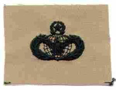 AIR FORCE MASTER FORCE PROTECTION BADGE IN DESERT CLOTH - Saunders Military Insignia