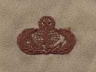 Authentic US Air Force Master Fuel Badge Subdued Cloth