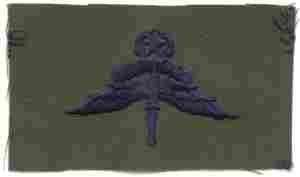 Air Force Master Halo Wing Subdued Cloth Badge Sew On