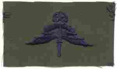 AIR FORCE MASTER HALO WING ON SUBDUED CLOTH - Saunders Military Insignia