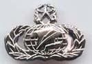 Air Force Master Information Management Badge or Wing - Saunders Military Insignia