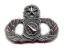 Air Force Master Weapons Controller Badge Old Silver Finish