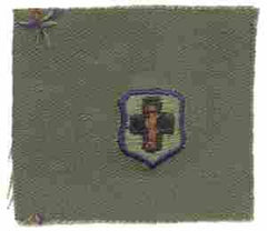 Air Force Medical Technician Badge in subdued cloth - Saunders Military Insignia