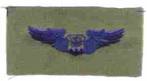 Authentic Air Force Navigator Badge in Subdued Cloth