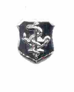 Air Force Nurse Badge - Saunders Military Insignia