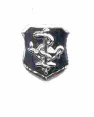Air Force Nurse Badge - Saunders Military Insignia