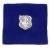 Air Force Nurse Badge in blue cloth - Saunders Military Insignia