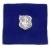 Air Force Nurse Badge in blue cloth - Saunders Military Insignia