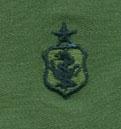 Air Force Nurse Senior Badge Subdued Cloth Sew On USA Made