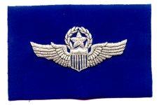 Air Force Pilot Command Badge Bullion Sew On US Cloth