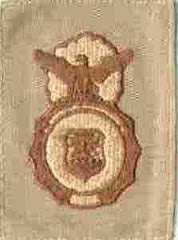 AIR FORCE SECURITY POLICE BADGE ON DESERT CLOTH - Saunders Military Insignia