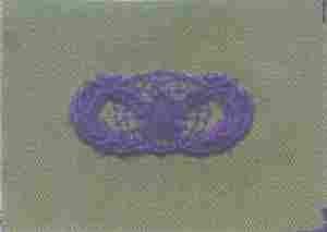 Authentic Air Force Security Police Badge On Subdued Cloth