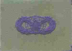 AIR FORCE SECURITY POLICE BADGE ON SUBDUED CLOTH - Saunders Military Insignia