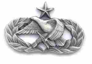 Air Force Senior Munition and Maintenance Badge Old Silver