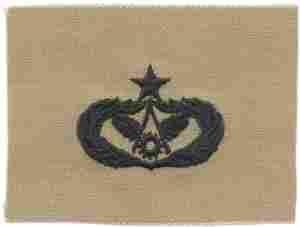 AIR FORCE SENIOR CIVIL ENGINEER BADGE IN SUBDUED CLOTH - Saunders Military Insignia