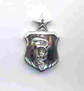 Air Force Senior Dentist Badge - Saunders Military Insignia