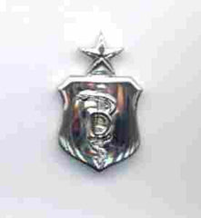Air Force Senior Dentist Badge - Saunders Military Insignia