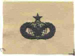 AIR FORCE SENIOR FORCE PROTECTION BADGE IN SUBDUED CLOTH - Saunders Military Insignia