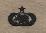Authentic Air Force Senior Fuel Supply Badge Desert Cloth