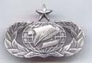 Air Force Senior Information Management Badge Old Silver
