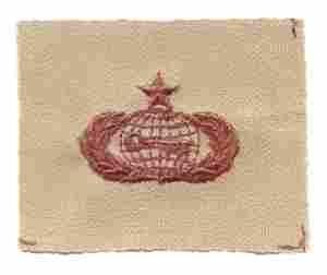 AIR FORCE SENIOR INTELLIGENCE BADGE IN DESERT CLOTH - Saunders Military Insignia