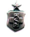 Air Force Senior Medical Technologist Badge in Old Silver