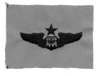 AIR FORCE SENIOR NAVIGATOR BADGE ON DESERT CLOTH - Saunders Military Insignia