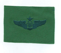 AIR FORCE SENIOR NAVIGATOR BADGE ON SUBDUED CLOTH - Saunders Military Insignia